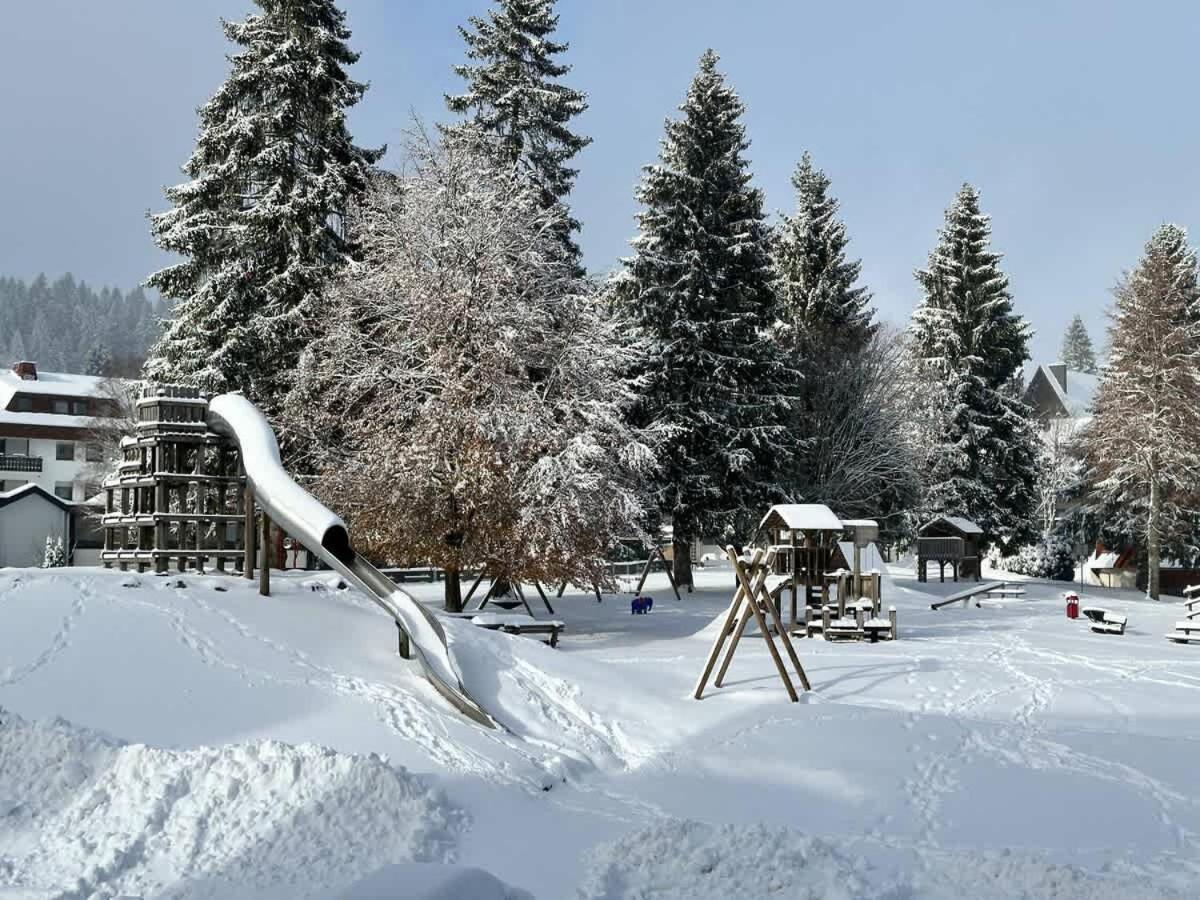 Relaxapartments Black Forest Emotion Mit Sonnenbalkon Mit Blick Auf Den Kurpark, Schnelles Internet, Naehe Triberger Wasserfaelle, Fuer Bis Zu 2 Personen Schönwalde Buitenkant foto