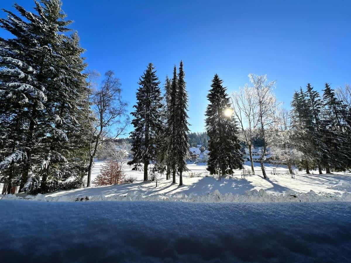 Relaxapartments Black Forest Emotion Mit Sonnenbalkon Mit Blick Auf Den Kurpark, Schnelles Internet, Naehe Triberger Wasserfaelle, Fuer Bis Zu 2 Personen Schönwalde Buitenkant foto