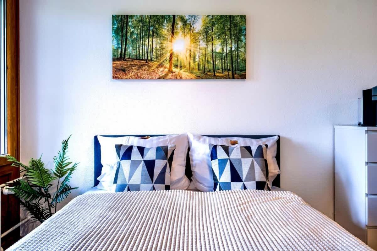 Relaxapartments Black Forest Emotion Mit Sonnenbalkon Mit Blick Auf Den Kurpark, Schnelles Internet, Naehe Triberger Wasserfaelle, Fuer Bis Zu 2 Personen Schönwalde Buitenkant foto